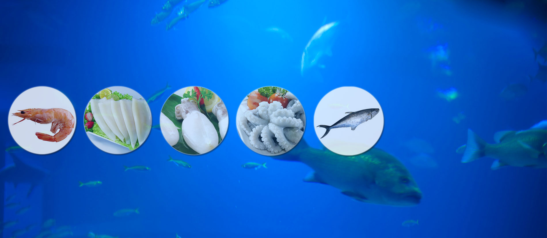 Seafood Exporting Company India