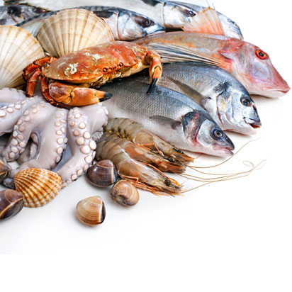 about e-seafood exports