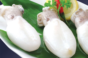 Cuttlefish Exporting Company